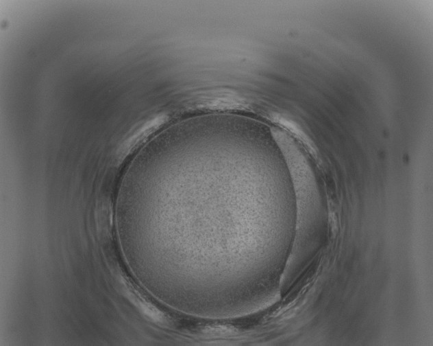 X0000062850397200601201708