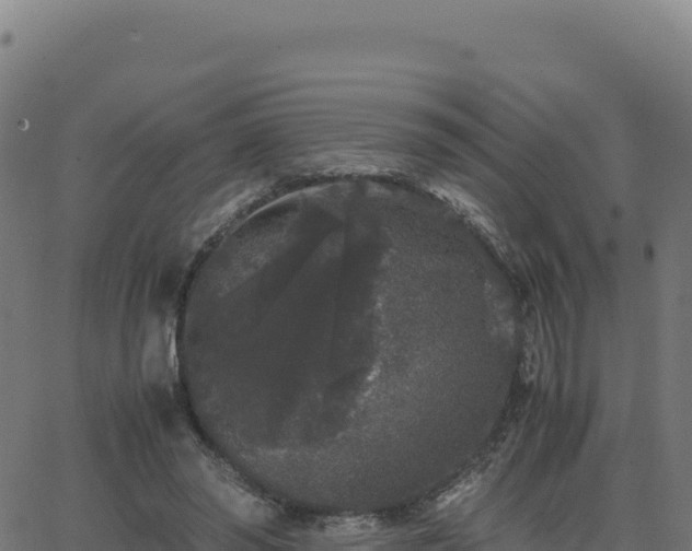 X0000062850398200601201708