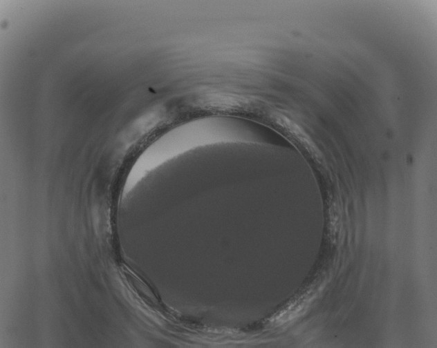 X0000062850399200601201708