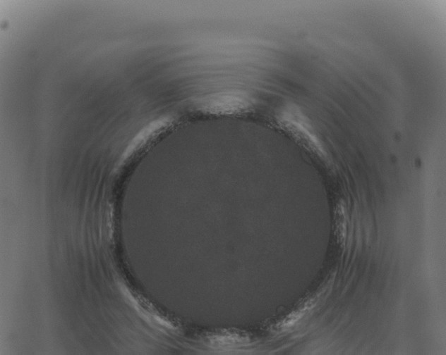 X0000062850400200601201708