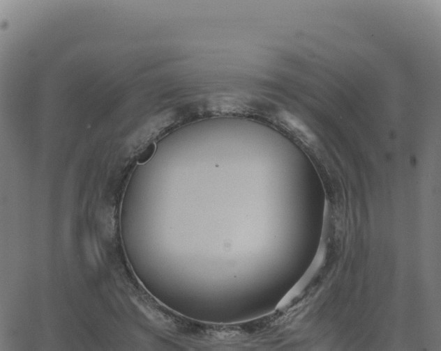 X0000062850401200601201708