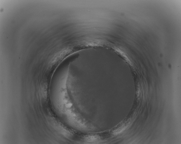 X0000062850402200601201708