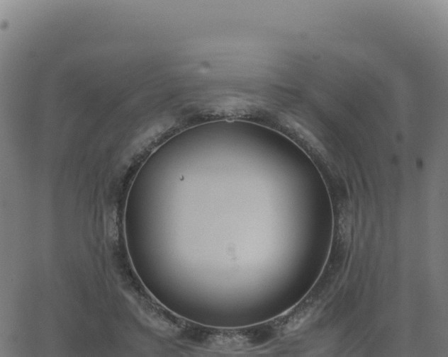 X0000062850403200601201708