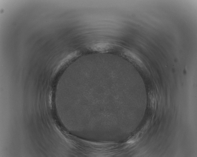 X0000062850404200601201708