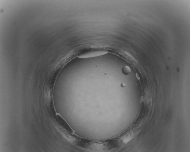 X0000062850405200601201708