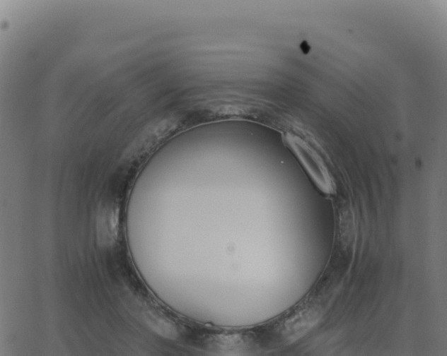 X0000062850406200601201708