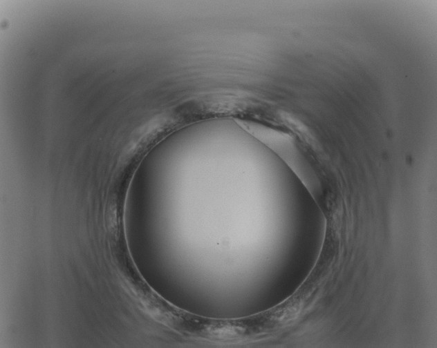 X0000062850407200601201708