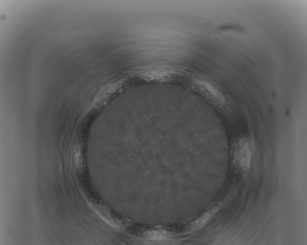 X0000062850408200601201708