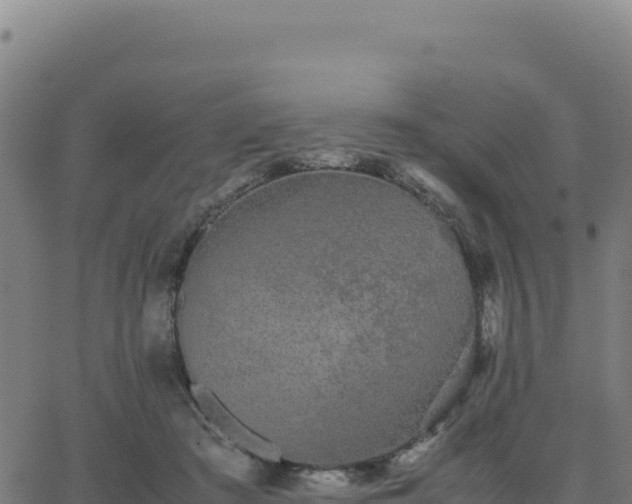 X0000062850409200601201708