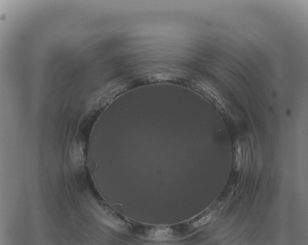 X0000062850410200601201708