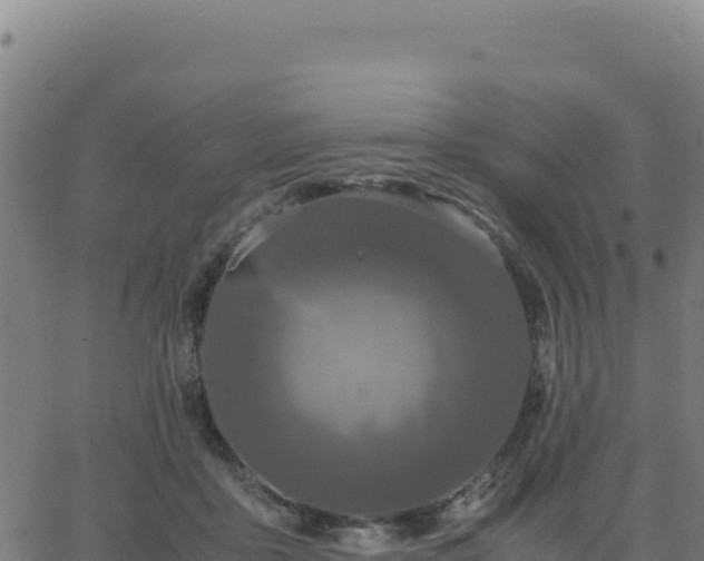 X0000062850411200601201708