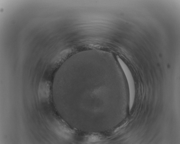 X0000062850412200601201708