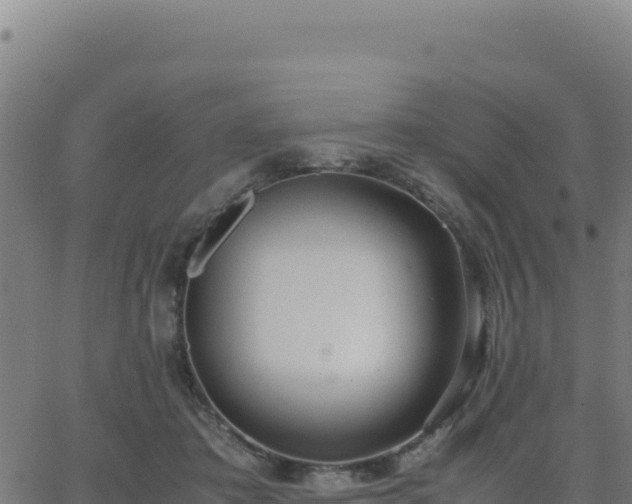 X0000062850413200601201708