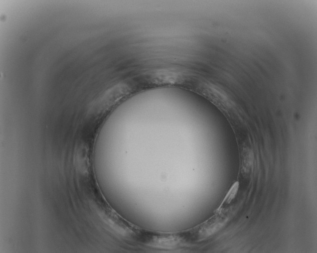 X0000062850414200601201708