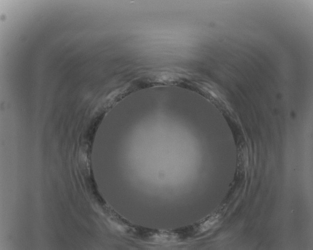 X0000062850415200601201708