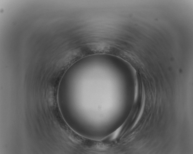 X0000062850416200601201708