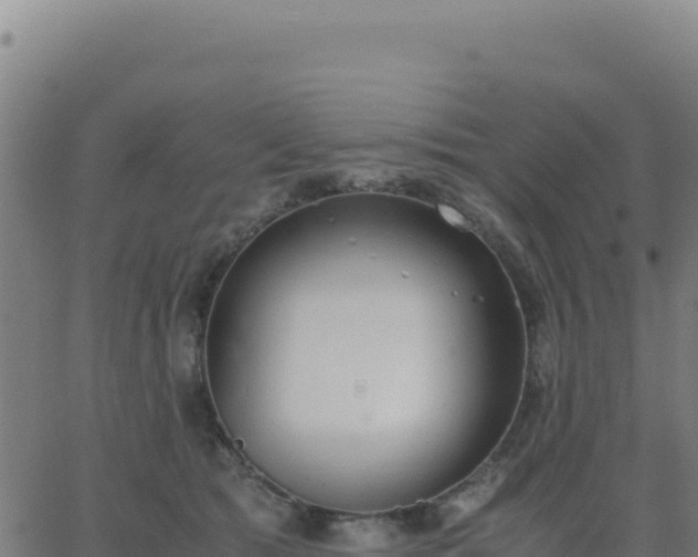 X0000062850417200601201708