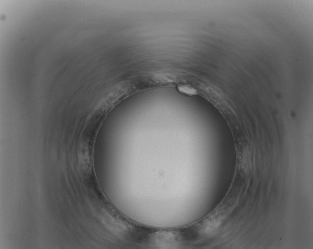 X0000062850418200601201708