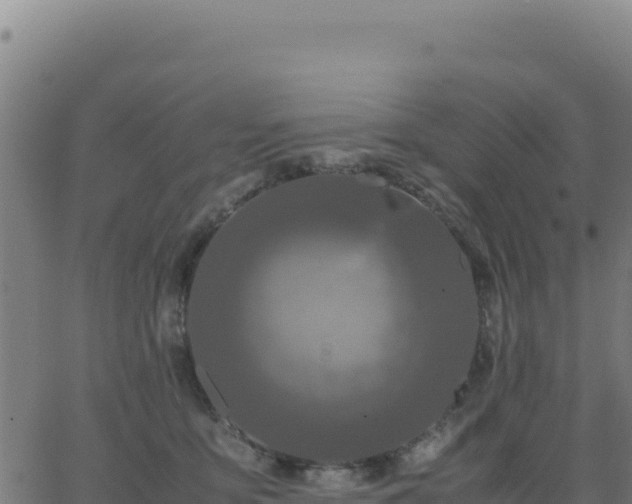 X0000062850419200601201708