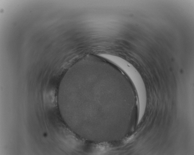 X0000062850420200601201708