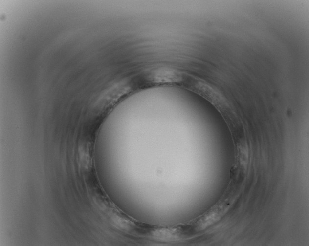 X0000062850422200601201708