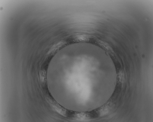 X0000062850423200601201708