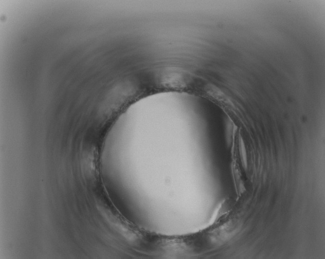 X0000062850424200601201708