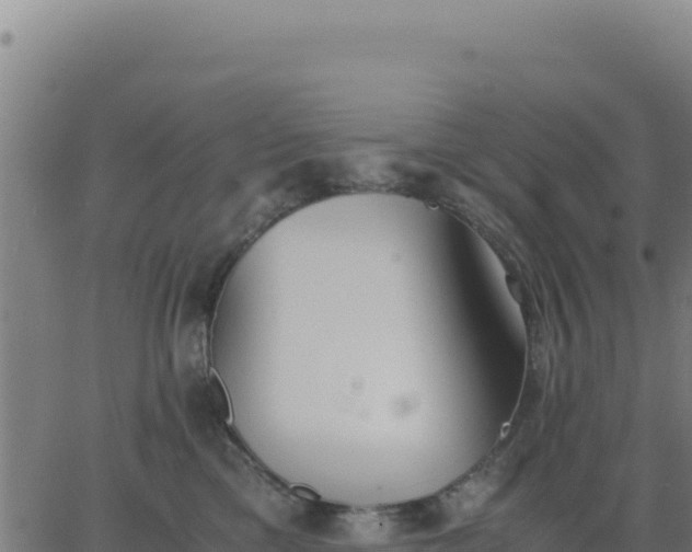 X0000062850425200601201708