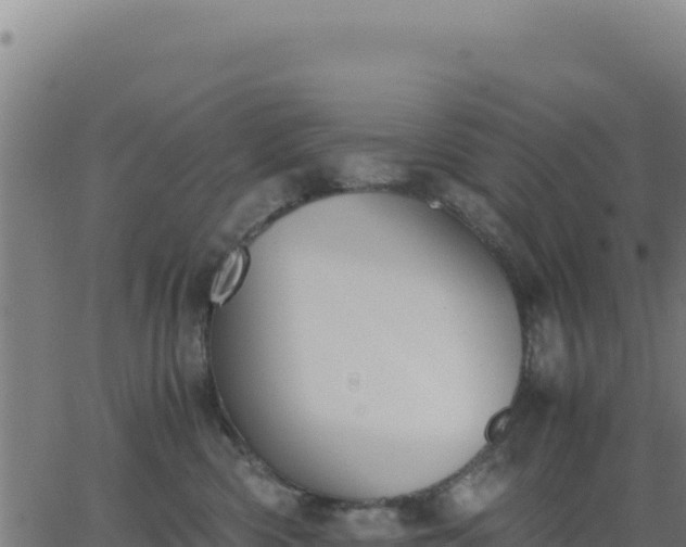 X0000062850426200601201708