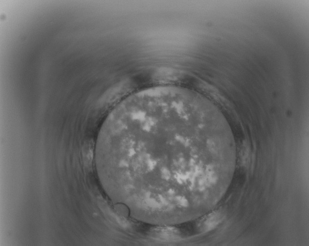 X0000062850427200601201708