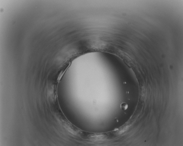 X0000062850428200601201708