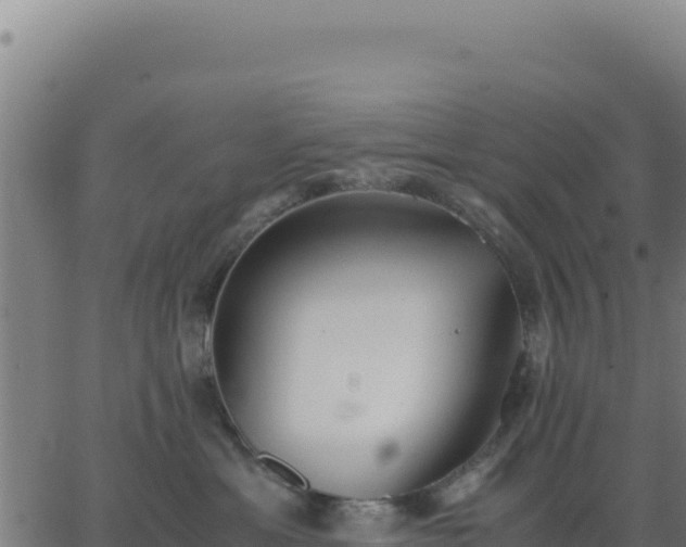 X0000062850429200601201708