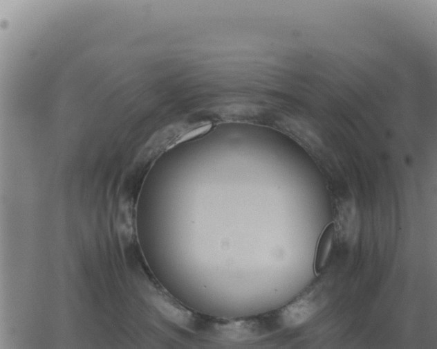 X0000062850430200601201708