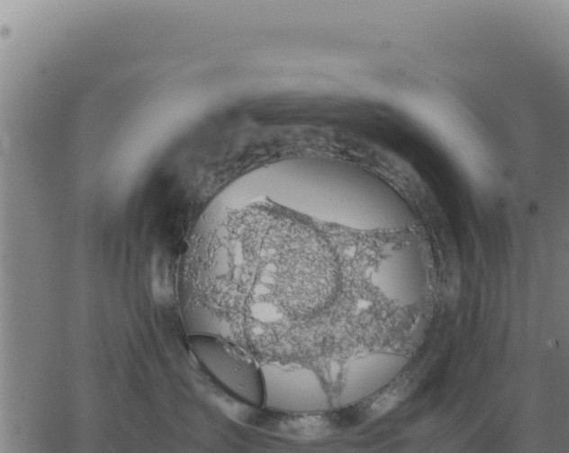 X0000062850431200601201708