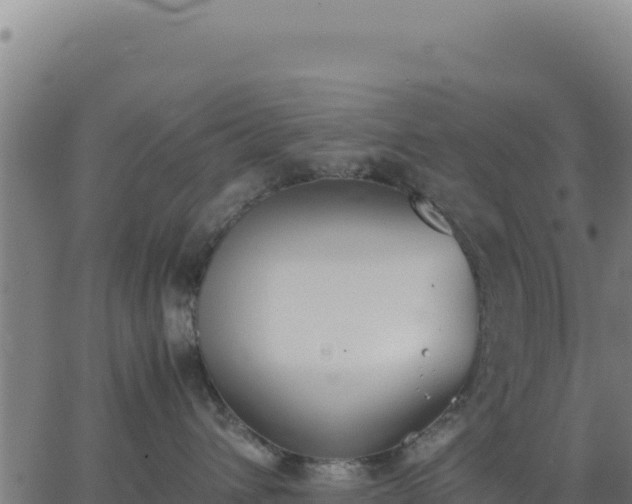 X0000062850432200601201708