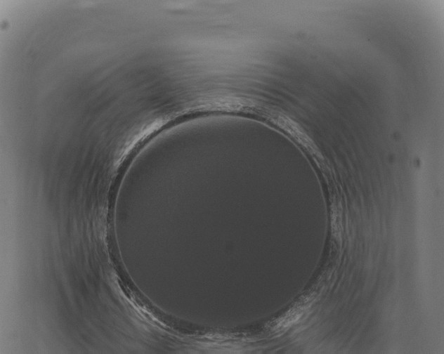 X0000062850434200601201707