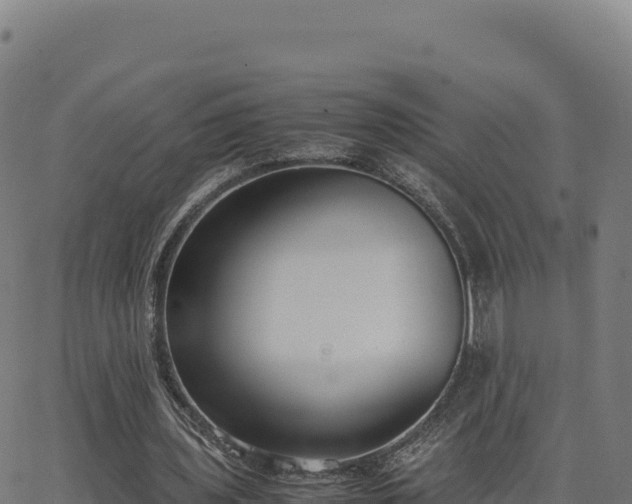 X0000062850435200601201707