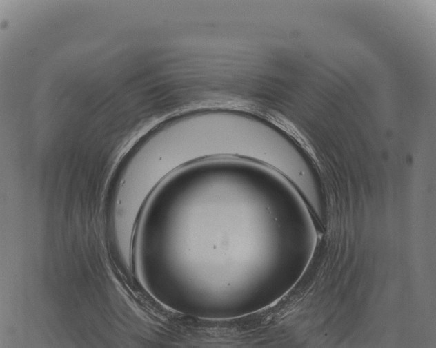 X0000062850436200601201707