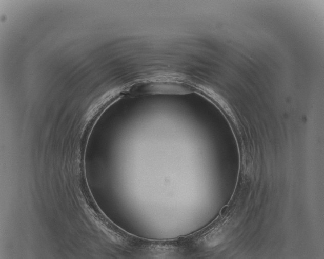 X0000062850437200601201707