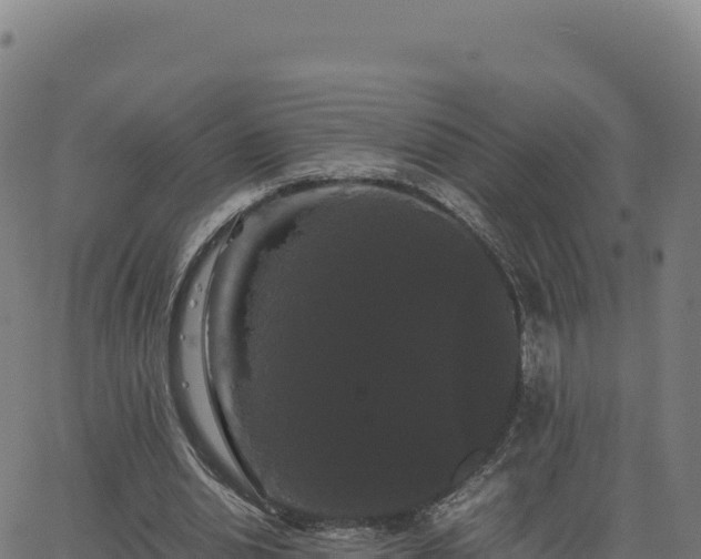 X0000062850438200601201707