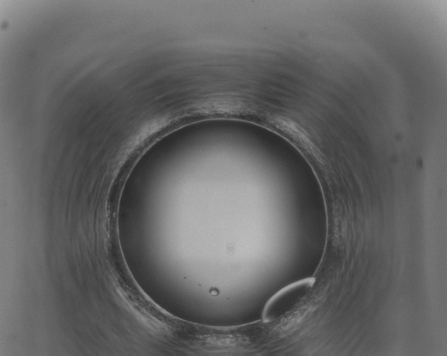 X0000062850439200601201707