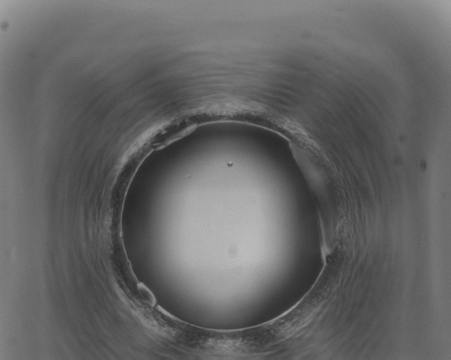 X0000062850440200601201707