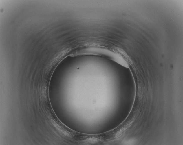 X0000062850441200601201707