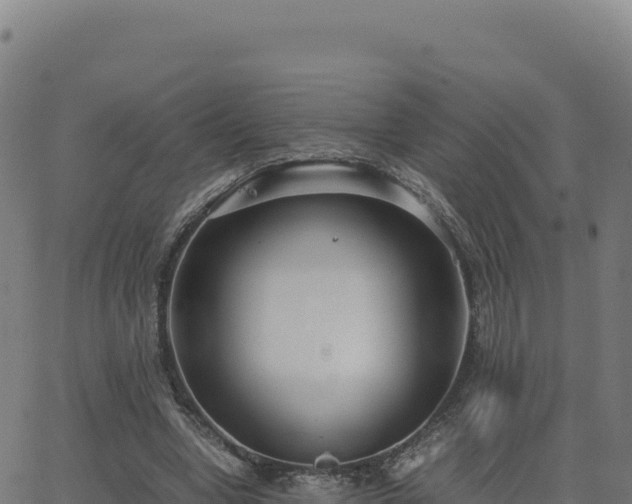 X0000062850442200601201707