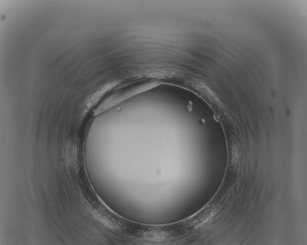 X0000062850444200601201707