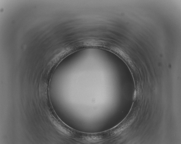 X0000062850445200601201707