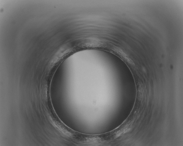 X0000062850446200601201707