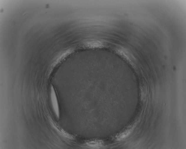 X0000062850447200601201707