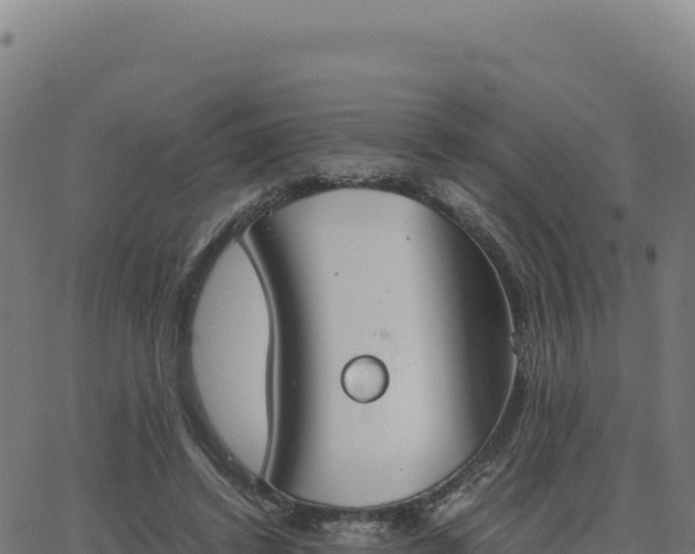 X0000062850448200601201707