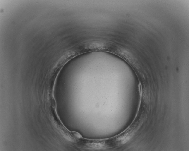 X0000062850449200601201707